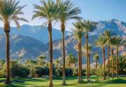 Capture the essence of La Quinta, California, with a sharp focus image of palm trees and the majestic Coachella Valley mountains.